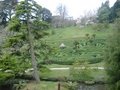 Glendurgan Garden image 8