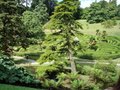 Glendurgan Garden image 9
