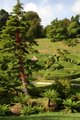 Glendurgan Garden image 1