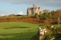 Glengorm Castle image 8