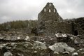 Glenluce Abbey image 1