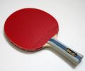 Global Table Tennis image 2