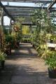 Goldenbank Nursery & Garden Centre image 1