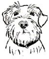 Good Boy! Pet Care logo