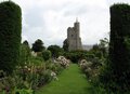 Goodnestone Park Gardens image 4