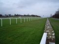 Goodwood Racecourse image 3