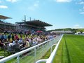 Goodwood Racecourse logo