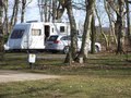 Goose Wood Caravan Park logo