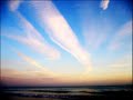 Goring Beach Huts image 1