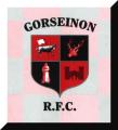 Gorseinon Cricket & Rugby Football Club image 1