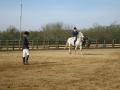 Goulds Green Riding School image 3