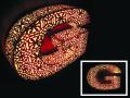 Graffiti Design - Signs, retail Signs, custom Signs image 10