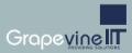 Grapevine IT Ltd logo