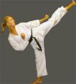 Grays Karate image 2