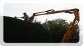 Greenwood Tree Surgeons image 4