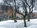 Greyfriars Kirk image 10