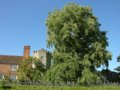 Greys Court image 7