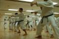 Guildford Seiki-Juku Karate Club image 1