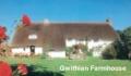 Gwithian Farm Campsite image 2