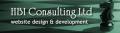 HBI Consulting Ltd logo