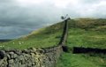 Hadrian's Wall Ltd image 2