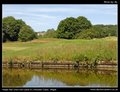 Haigh Hall and Country Park image 4