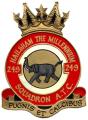 Hailsham Air Cadets - 249(Hailsham ) Squadron image 3
