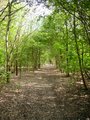 Hainault Forest Country Park image 2