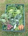Hallwood Fresh Veg image 3