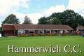 Hammerwich Cricket Club logo