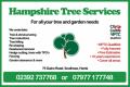 Hampshire Tree Services image 5