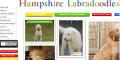 Hampshire labradoodles image 1