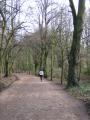 Hampstead Heath image 4