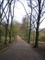 Hampstead Heath image 5