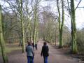 Hampstead Heath image 9