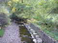 Hamsterley Forest Outdoor Centre image 3