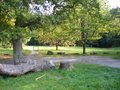 Hamsterley Forest Outdoor Centre image 4