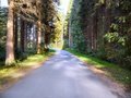 Hamsterley Forest Outdoor Centre image 6