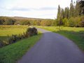 Hamsterley Forest Outdoor Centre image 7