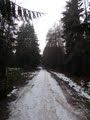 Hamsterley Forest Outdoor Centre image 9