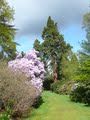 Harcourt Arboretum image 7