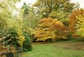 Harcourt Arboretum image 9