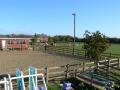 Hardwicke Lodge Riding School image 2