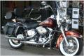 Harley-Davidson Tours image 1
