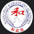 Haslemere Karate logo
