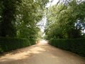 Hatfield House image 10