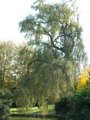 Hatherley Park image 6