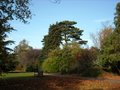 Hatherley Park image 10