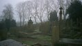 Haworth image 5