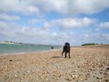 Hayling image 2